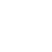 WildToken Logo