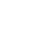 WildToken Logo